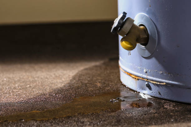 Best Flood damage cleanup  in Osceola, AR