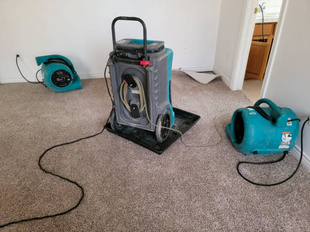 Best Flooded house restoration  in Osceola, AR