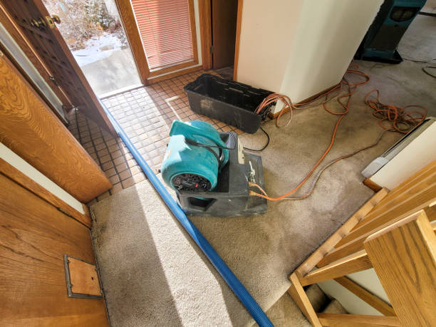 Best Carpet water damage restoration  in Osceola, AR