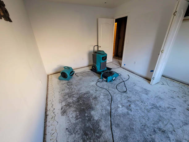 Best Residential water damage restoration  in Osceola, AR