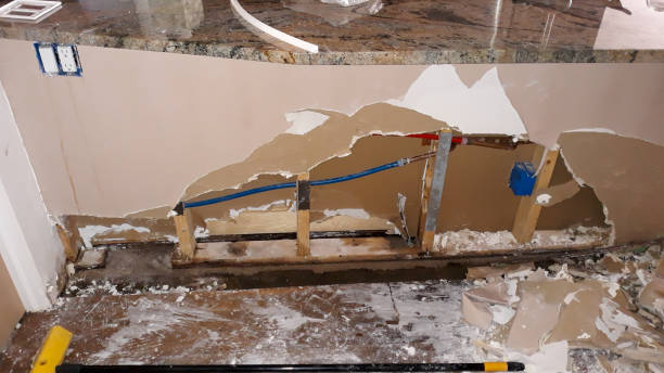 Best 24/7 water damage repair  in Osceola, AR