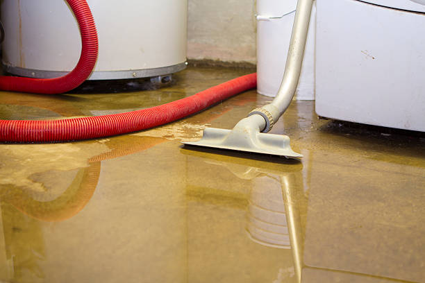 Best Professional water damage repair  in Osceola, AR