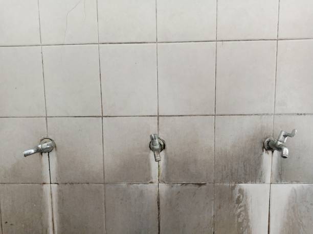 Best Water damage contractors near me  in Osceola, AR