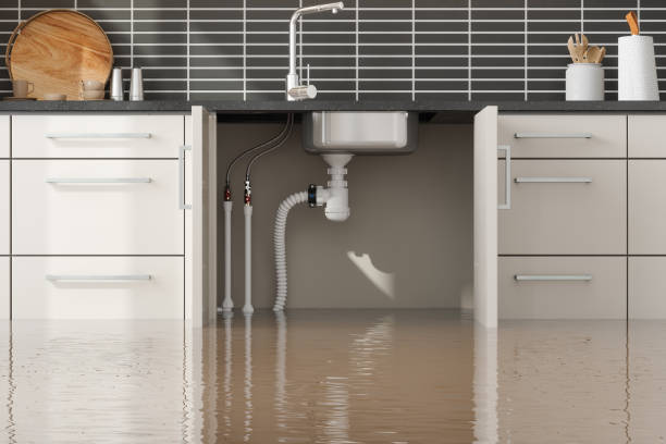 Best Ceiling water damage repair  in Osceola, AR