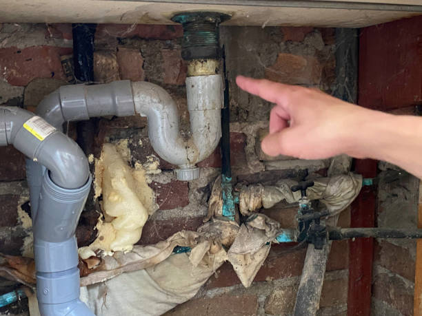 Best Mold removal after water damage  in Osceola, AR