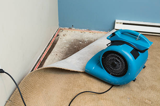  Osceola, AR Water damage restoration Pros